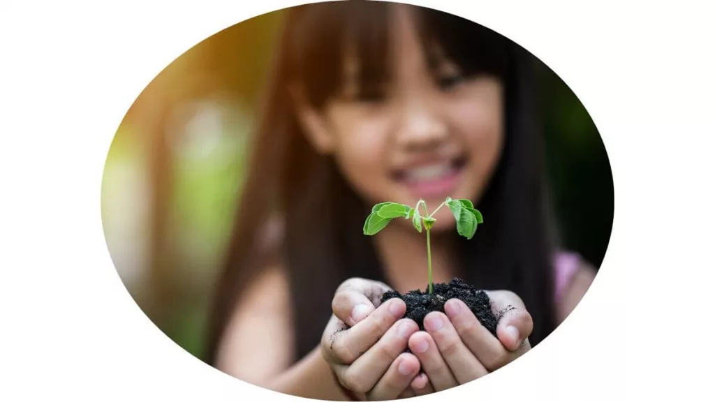 A child holding a plant with soil nurture vs nature debate